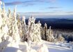 В Ленинградской области средняя температура января будет на 1-3 градуса ниже нормы