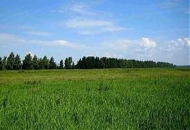 земельный участок|http://moscow.olx.ru